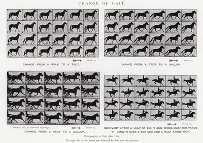 Change of Gait by Eadweard Muybridge