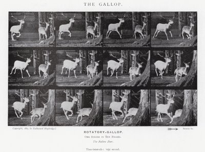 The Gallop by Eadweard Muybridge