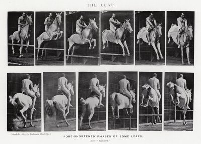 The Leap by Eadweard Muybridge
