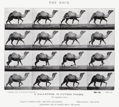The Rack by Eadweard Muybridge