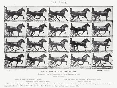 The Trot by Eadweard Muybridge