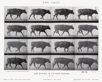 The Trot by Eadweard Muybridge