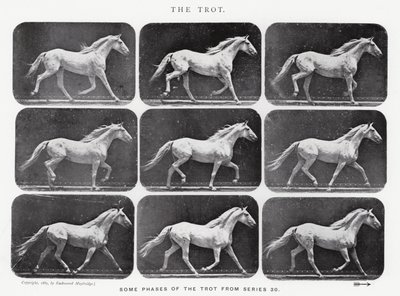 The Trot by Eadweard Muybridge
