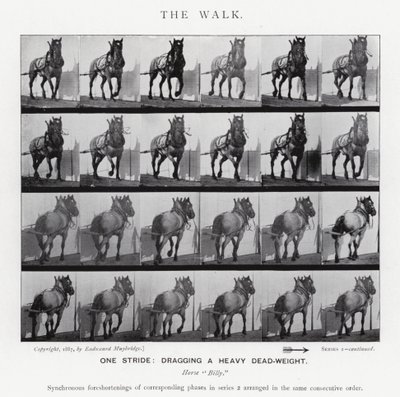 Eadweard Muybridge: The Walk by Eadweard Muybridge