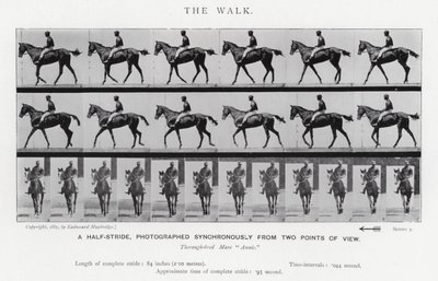 Eadweard Muybridge: The Walk by Eadweard Muybridge