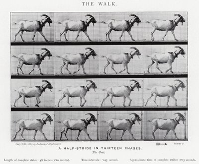 Eadweard Muybridge: The Walk by Eadweard Muybridge