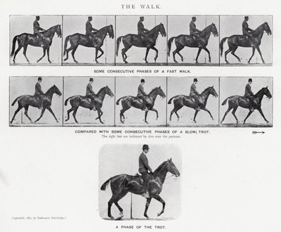 Eadweard Muybridge: The Walk by Eadweard Muybridge