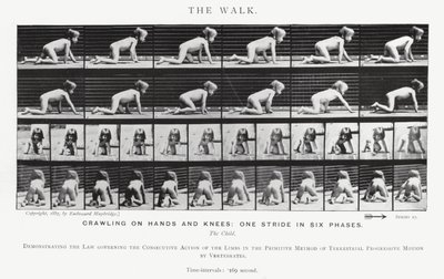 Eadweard Muybridge: The Walk by Eadweard Muybridge