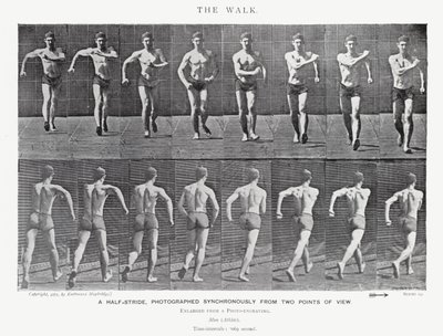 Eadweard Muybridge: The Walk by Eadweard Muybridge