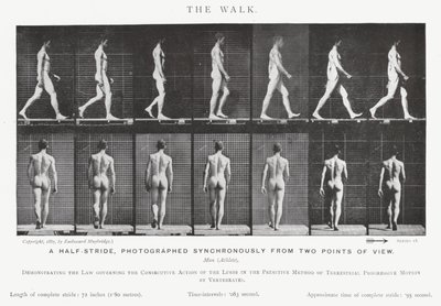 The Walk by Eadweard Muybridge