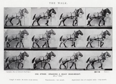 The Walk by Eadweard Muybridge