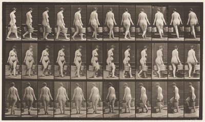 Turning to Ascend Stairs, Bucket of Water in Each Hand by Eadweard Muybridge