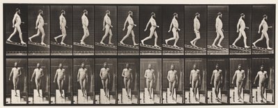Descending Incline, 1 in 4 by Eadweard Muybridge
