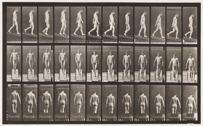 Plate 114. Descending Incline, Angle 1 in 4 by Eadweard Muybridge