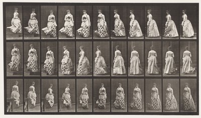 Descending Stairs Turning, 1885 by Eadweard Muybridge