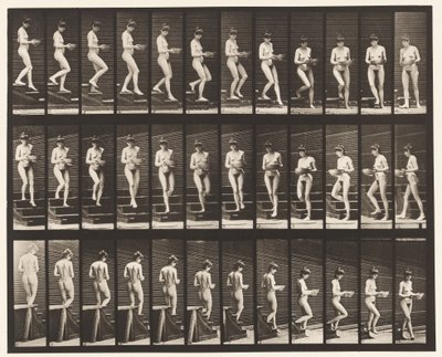Plate 144. Descending Stairs, Turning Basin in Hands by Eadweard Muybridge