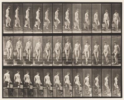 Descending Stairs; Turning Bucket Water in Right Hand by Eadweard Muybridge