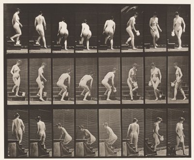 Descending Stairs; Stooping, Lifting Pitcher, Turning by Eadweard Muybridge