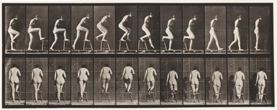 Plate 180. Stepping On and Over a Chair by Eadweard Muybridge
