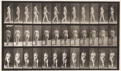 Walking, Left Hand Across Abdomen by Eadweard Muybridge