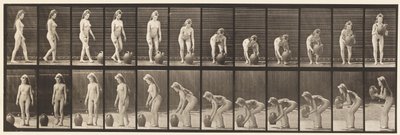 Plate 228. Turning & Lifting Water Jar from the Ground by Eadweard Muybridge