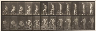 Plate 236. Placing Chair and Sitting Down by Eadweard Muybridge