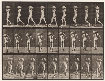 Plate 26. Walking, Carrying 75-lb Stone on Left Shoulder by Eadweard Muybridge