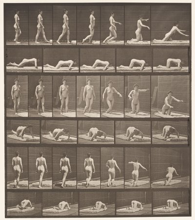 Plate 272. Stumbling and Falling on the Ground by Eadweard Muybridge