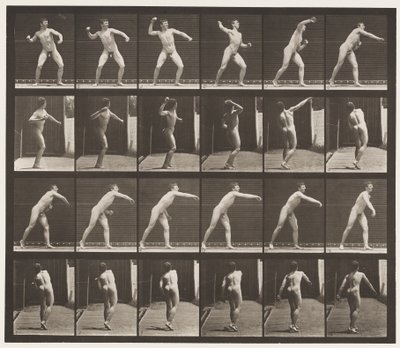 Plate 286. Base-ball; Throwing by Eadweard Muybridge