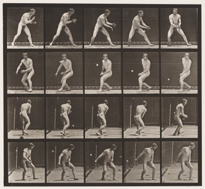 Plate 288. Baseball; Error by Eadweard Muybridge