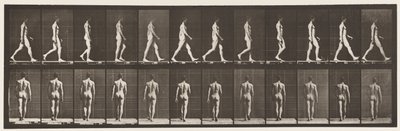 Walking by Eadweard Muybridge