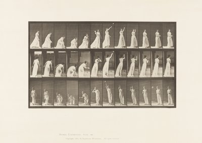 Picking up a Ball and Throwing It by Eadweard Muybridge