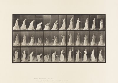 Picking up a Ball and Throwing It by Eadweard Muybridge