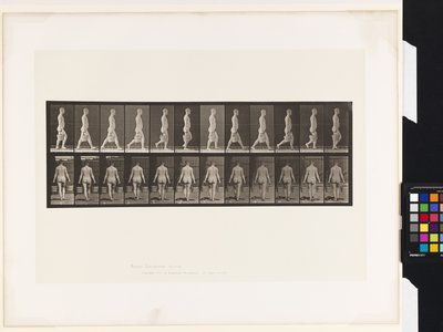 Plate 30. Walking, Carrying Bucket of Water in Each Hand by Eadweard Muybridge