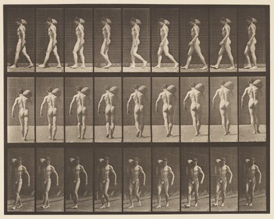 Plate 31. Walking, Carrying 75-lb Stone on Right Shoulder by Eadweard Muybridge