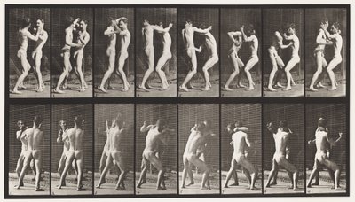 Boxing; Open Hand by Eadweard Muybridge