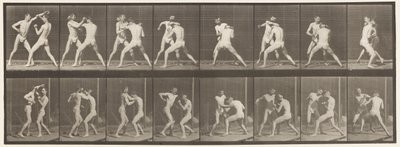 Boxing; Open Hand, 1872-1885 by Eadweard Muybridge