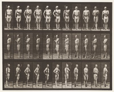 Carry Arms, Parade Rest, and Trail Arms by Eadweard Muybridge