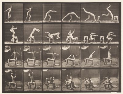 Plate 364. Hand-spring over Man