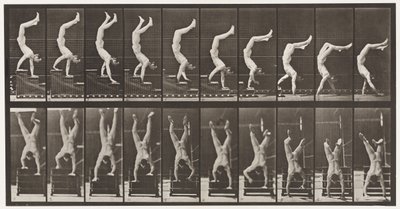 Acrobat, Descending Stairs on Hands by Eadweard Muybridge