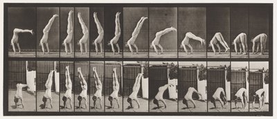 Acrobat, Vertical Press Up by Eadweard Muybridge