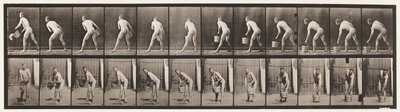 Lifting a Bucket of Water to Empty by Eadweard Muybridge