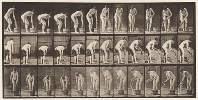 Wringing Clothes by Eadweard Muybridge