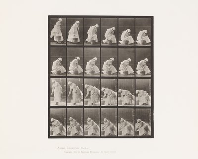 Setting Down Bucket and Preparing to Scrub by Eadweard Muybridge