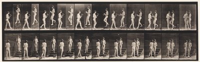 Plate 448. Two Models by Eadweard Muybridge