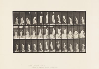 Stepping on Chair, Reaching Up and Descending by Eadweard Muybridge