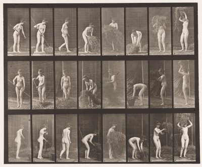 Plate 499. Raking and Packing Hay by Eadweard Muybridge