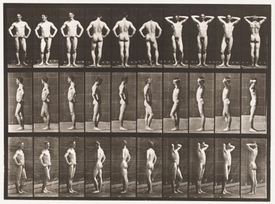Plate 530. Various Poses by Eadweard Muybridge