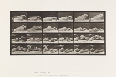 Movement of the Hand; Hands Changing Pencil (Plate 536) by Eadweard Muybridge
