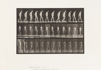 Plate 559. Disseminated Sclerosis; Walking with Cane by Eadweard Muybridge